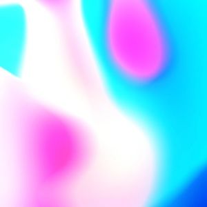 Meet your Posher, Kendall